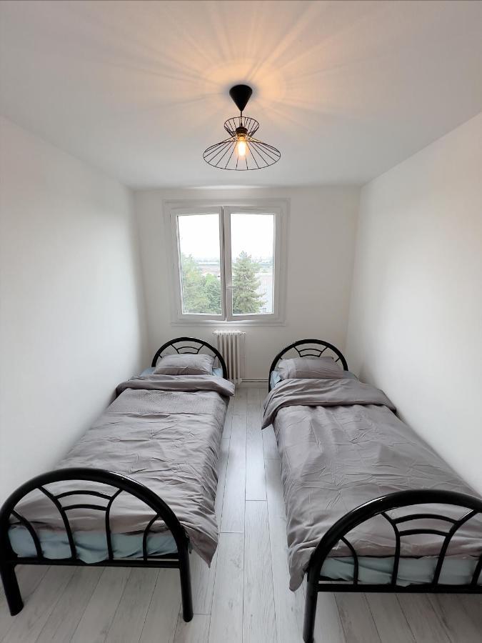 Appartement Spacieux Avec Balcon Saint-Fons 외부 사진