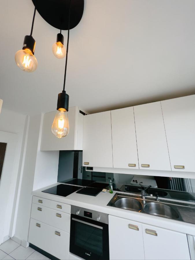 Appartement Spacieux Avec Balcon Saint-Fons 외부 사진